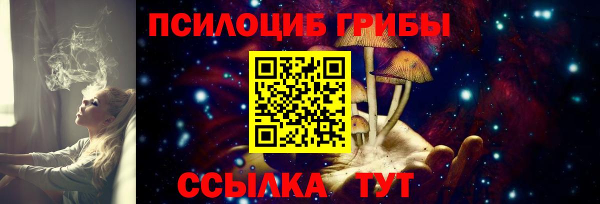 Псилоцибиновые грибы прущие грибы Каменск-Уральский