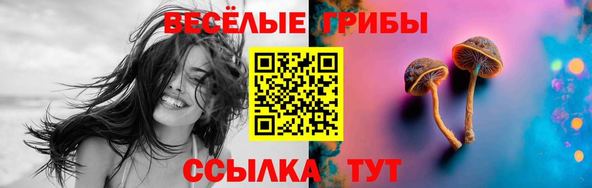 Псилоцибиновые грибы Magic Shrooms  Галлюциногенные грибы Psilocybe  Вход с VPN  Каменск-Уральский 